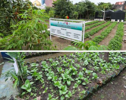 Area kebun urban farming di Bandung yang tertata rapi, menampilkan instalasi sayuran hidroponik dan tanaman organik di lahan sekolah