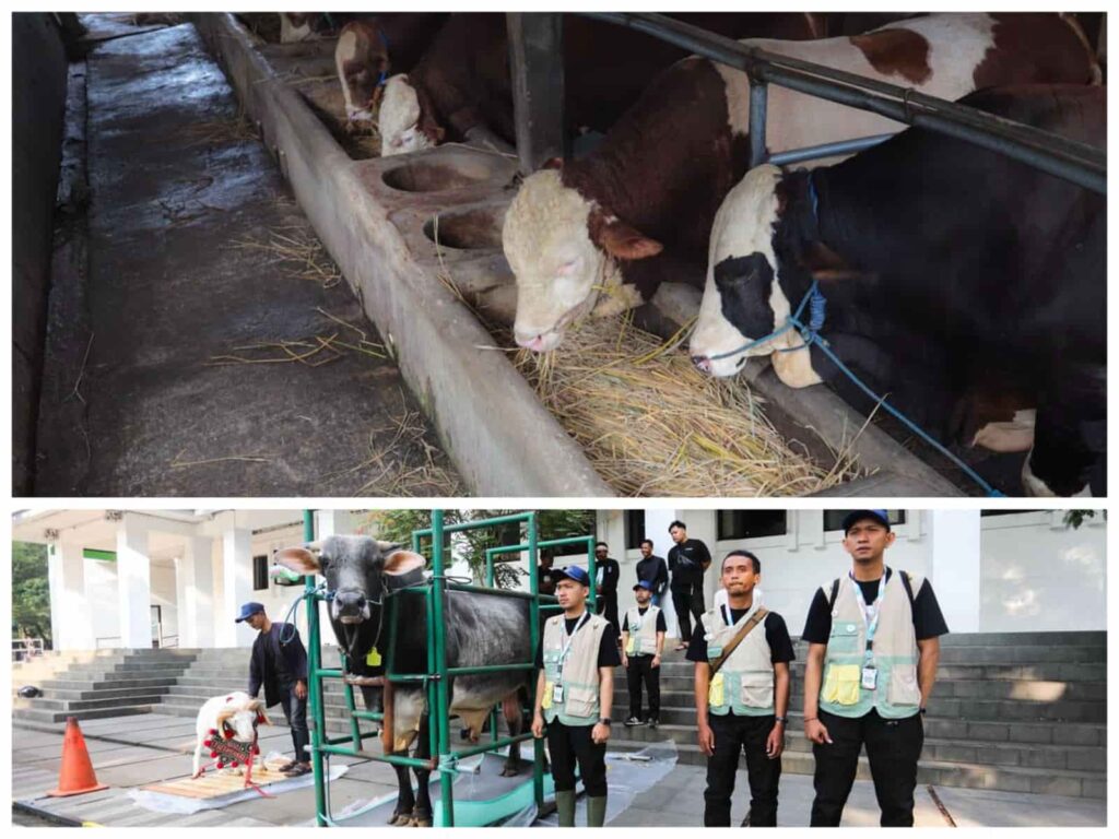 Petugas DKPP Kota Bandung siaga 24 jam awasi penyembelihan untuk cegah kontaminasi daging.