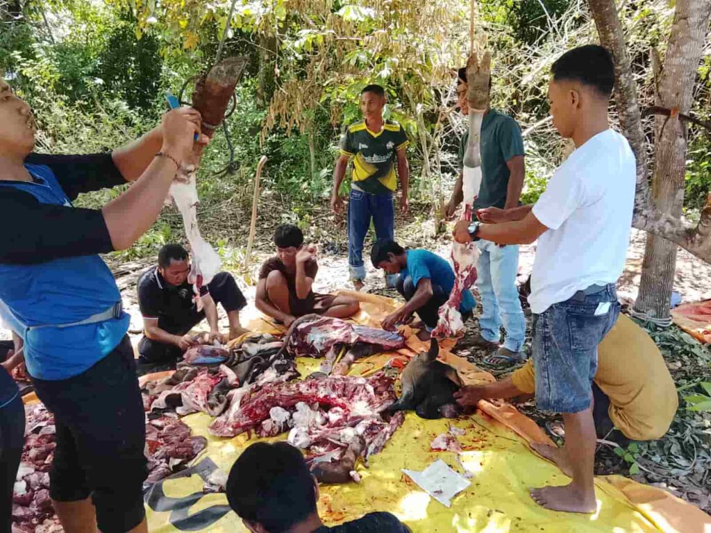 Kisah Haru Penyaluran Kurban Rumah Amal Salman di NTT & Papua