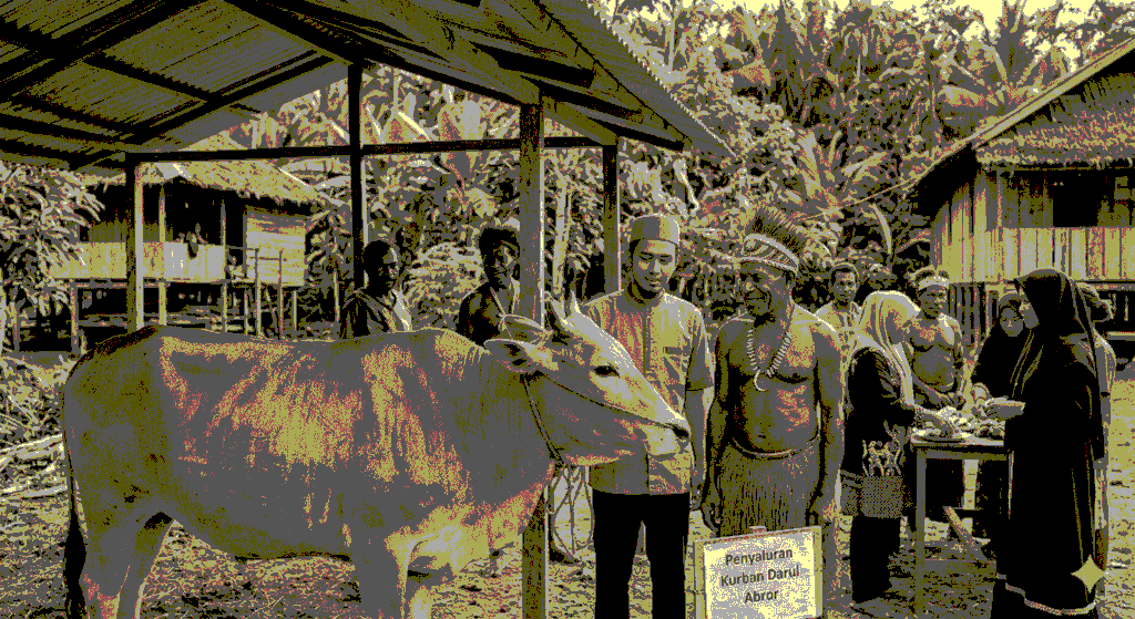 Distribusi kurban pelosok Papua oleh mitra Rumah Amal Salman.(Dok. AI)